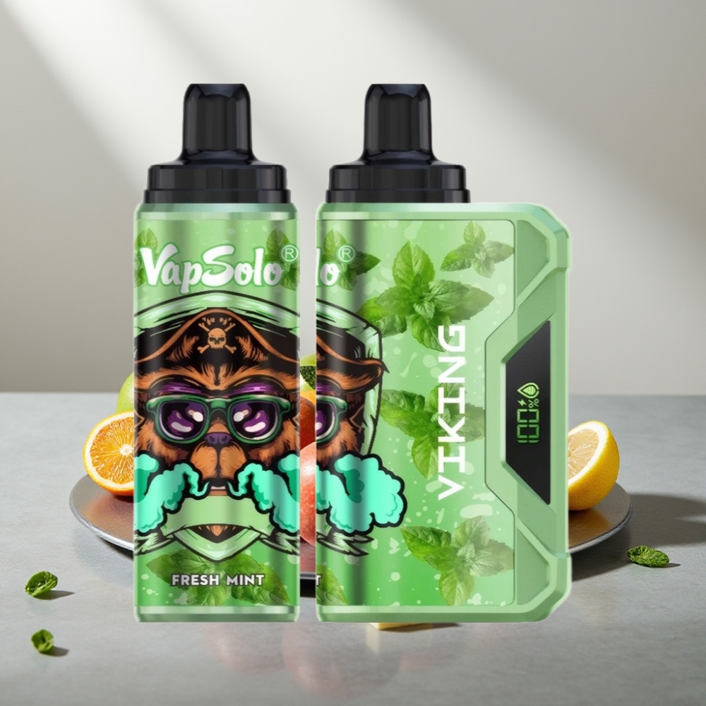 VapSolo VIKING 12000 Puffs 22ml 20/50mg Type-C נענע טרייה