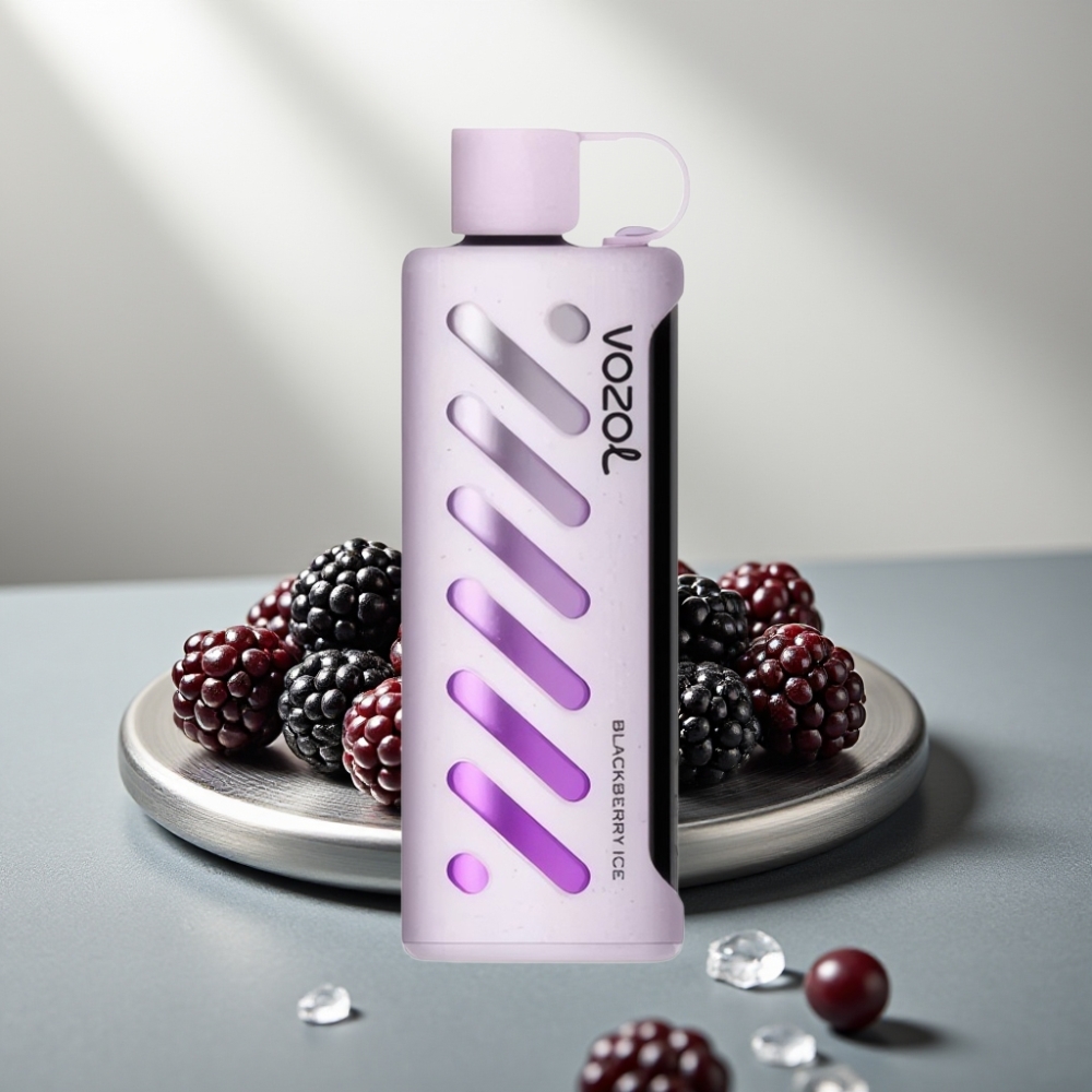 VOZOL Gear Shisha 25000 Puffs 1000mAh Dual Mesh Blackberry Ice