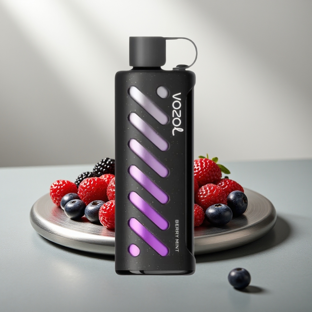 VOZOL Gear Shisha 25000 Puffs Disposable Vape פירות יער נענע 1000mAh 5mg/ml Dual Mesh