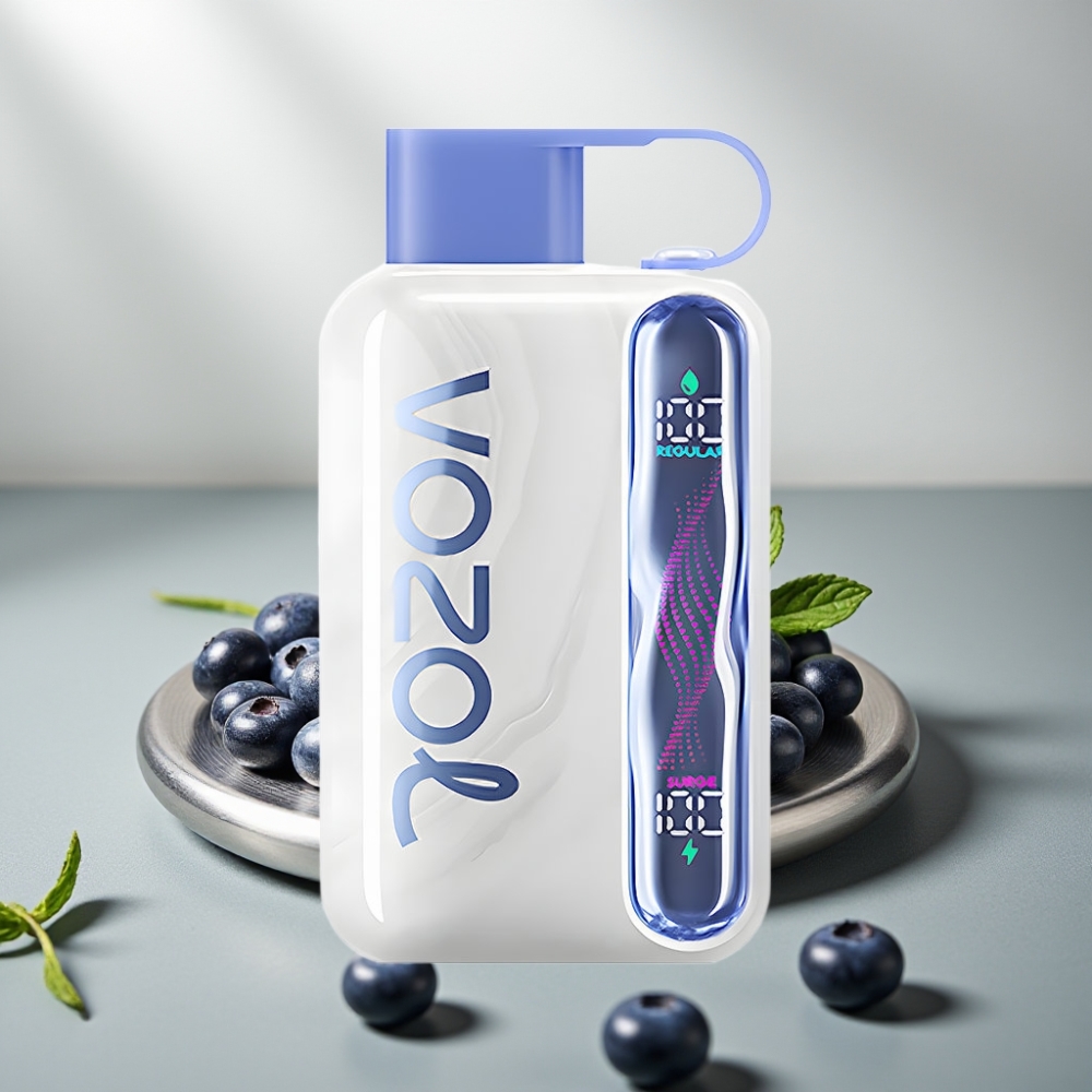 VOZOL STAR 40000 Puffs 1000mAh Type-C Disposable Vape מנטה אוכמניות