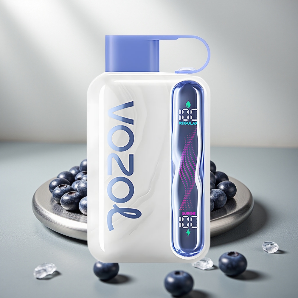 VOZOL STAR 40000 Puffs Disposable Vape 1000mAh Type-C Blueberry Ice 20/50mg/ml